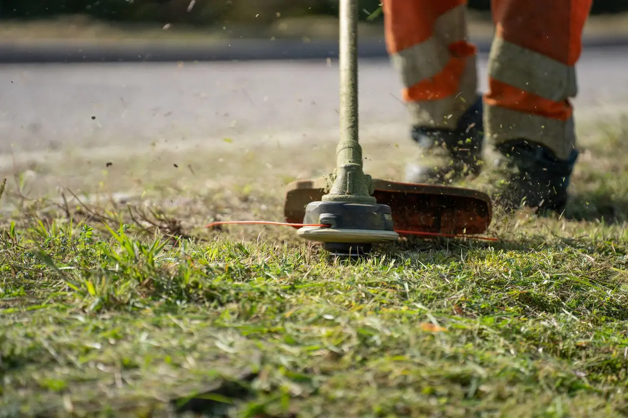 Lawn Weed Management