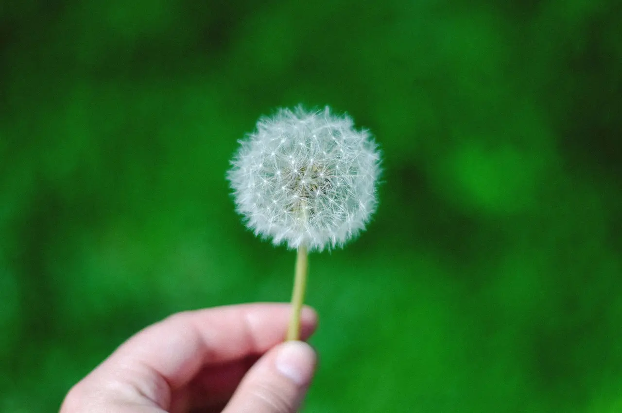 Non-Selective Weed Treatment